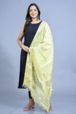 DIAMO Women's Woven Banarasi Silk Zari Dupatta/Chunni - Image 4