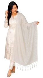 Women's Banarasi Organza Striped Dupatta